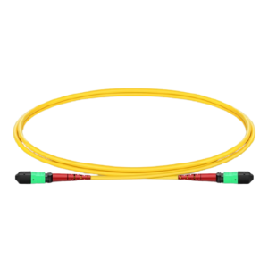 1m (3ft) MTP?- 24 (Female) to MTP?- 24 (Female) OM4 Multimode Elite Trunk Cable, 24 Fibers, Type A, Plenum (OFNP), Magenta Price in Dubai UAE