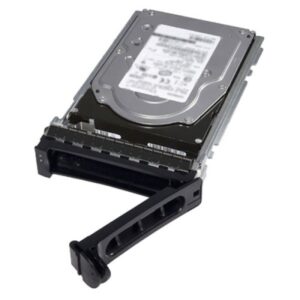 Dell SS-DEL4400031 4TB 7.2K RPM NLSAS 12Gbps 512n 3.5in Hot-plug Hard Drive CK G14 Price in Dubai UAE