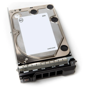 Dell DELHDD00086 1TB SATA 7.2K 3.5″ 6Gbps Fully assembled (Hot Plug) Hard Drive, 13G Price in Dubai UAE