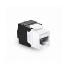 Cat6 RJ45 (8P8C) Unshielded Toolless Keystone Jack Module  Price in Dubai UAE