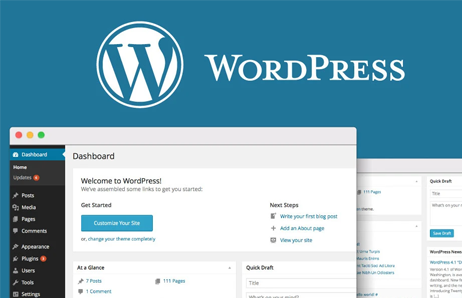 WordPress Development Company