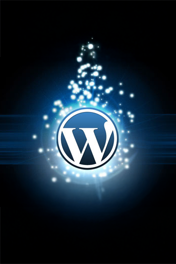 WordPress Development Company