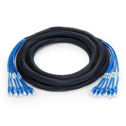 Cat6 Trunk Cables